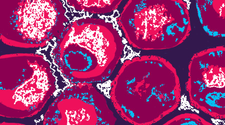 Drawing of cells